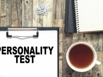 Formation au MBTI : quel intérêt pour les entreprises ?