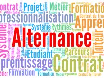 Quel est le rôle et les missions d’un tuteur en alternance ?